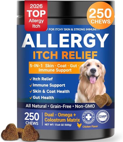 Dog Allergy Chews,is Omega 3 Human,Anti Itch Relief for Dogs Itching Skin Relief and Aller Immune Pet Multivitamin Allergy Chews Coat Licking Supplement Pills Meds Treats 250 Bites for Dogs in Kuwait