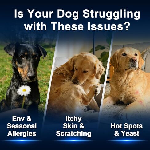 Dog Allergy Chews,is Omega 3 Human,Anti Itch Relief for Dogs Itching Skin Relief and Aller Immune Pet Multivitamin Allergy Chews Coat Licking Supplement Pills Meds Treats 250 Bites for Dogs in Kuwait