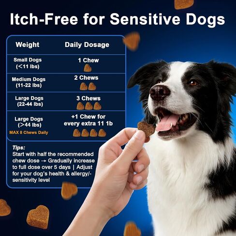 Dog Allergy Chews,is Omega 3 Human,Anti Itch Relief for Dogs Itching Skin Relief and Aller Immune Pet Multivitamin Allergy Chews Coat Licking Supplement Pills Meds Treats 250 Bites for Dogs in Kuwait
