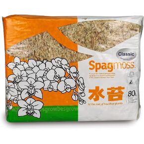 besgrow New Zealand Sphagnum Moss (1 kilogram),tan in Kuwait