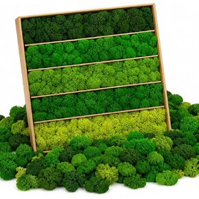 Preserved Reindeer Moss Mix, Natural Green, 1.1 lb in Kuwait