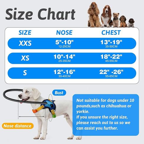 Blind Dog Halo Harness, Adjustable Blind Dog Collar with Protective Ring, Safe Walking Aid for Visually Impaired Pets, Comfortable Vest Design,18"-22" in Saudi Arabia