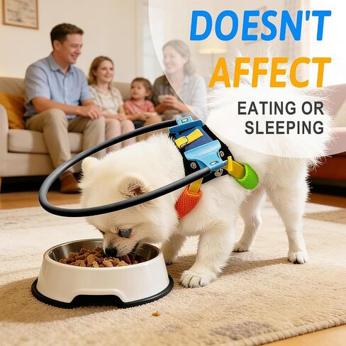 Blind Dog Halo Harness, Adjustable Blind Dog Collar with Protective Ring, Safe Walking Aid for Visually Impaired Pets, Comfortable Vest Design,18"-22" in Saudi Arabia