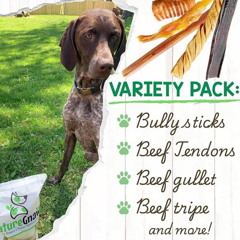 Nature Gnaws Dog Chew Variety Pack for Large Dogs, 12 Count in Saudi Arabia