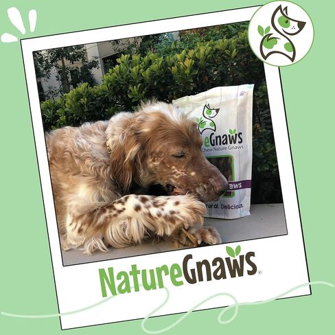 Nature Gnaws Dog Chew Variety Pack for Large Dogs, 12 Count in Saudi Arabia