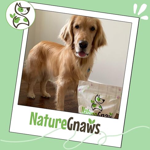 Nature Gnaws Dog Chew Variety Pack for Large Dogs, 12 Count in Saudi Arabia