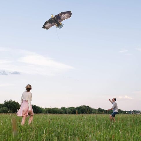 Bald Eagle Huge Kite for Kids and Adults Single Line String Easy to Fly for Beach Trip Park Family Outdoor Games and Activities in Saudi Arabia