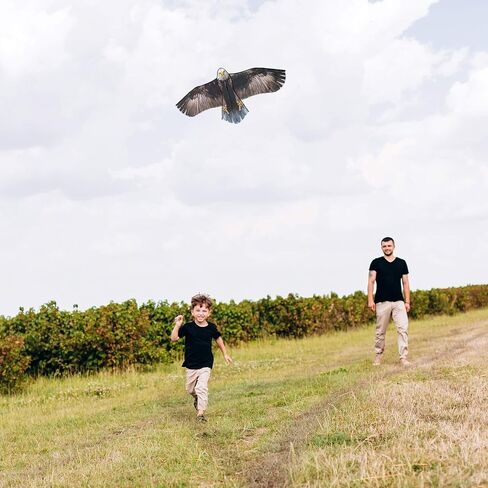 Bald Eagle Huge Kite for Kids and Adults Single Line String Easy to Fly for Beach Trip Park Family Outdoor Games and Activities in Saudi Arabia