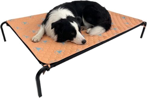 PJYuCien Elevated Dog Bed with Washable Pad for Large Dogs, Gray in Saudi Arabia