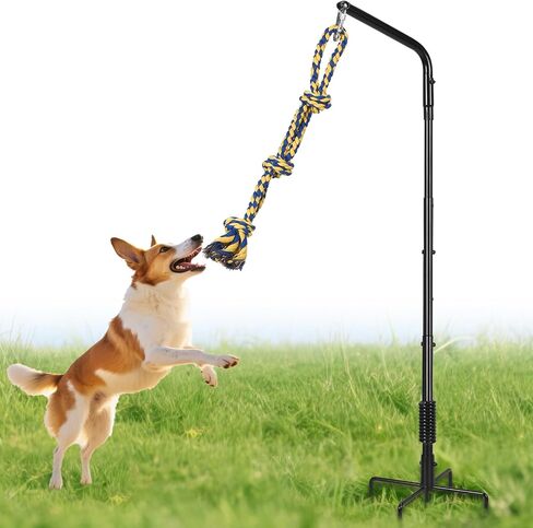 AugFir Tether Outdoor Dog Rope Toy with Strengthen Spring Pole, 3 Kinds Dog Tug of War Toys for Self Play and Interactive in Park, Yard, Lawn Rope, Suitable for Large Medium Small Dogs (Black) in Saudi Arabia