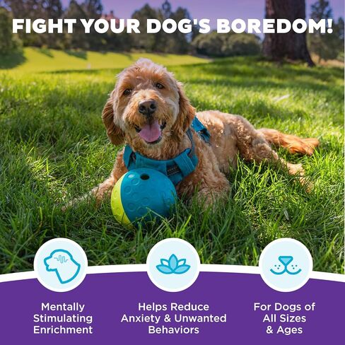 Outward Hound Nina Ottosson Treat Tumble Dog Toy Puzzle Ball, 4.8" in Saudi Arabia