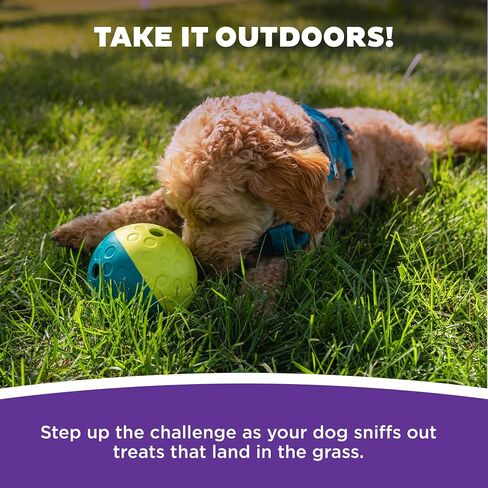 Outward Hound Nina Ottosson Treat Tumble Dog Toy Puzzle Ball, 4.8" in Saudi Arabia