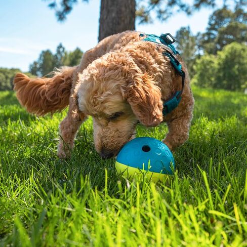 Outward Hound Nina Ottosson Treat Tumble Dog Toy Puzzle Ball, 4.8" in Saudi Arabia