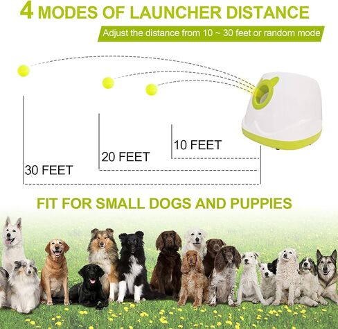 BESTHLS Automatic Dog Ball Launcher & Balls in Kuwait