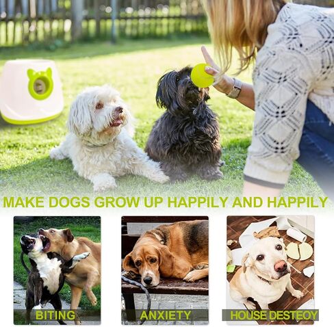 BESTHLS Automatic Dog Ball Launcher & Balls in Kuwait