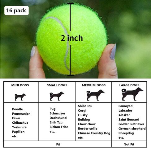 BESTHLS Automatic Dog Ball Launcher & Balls in Kuwait