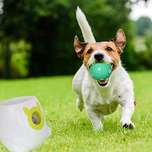 BESTHLS Automatic Dog Ball Launcher & Balls in Kuwait