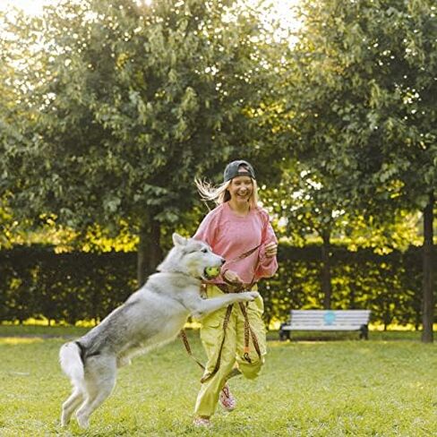BESTHLS Automatic Dog Ball Launcher & Balls in Kuwait