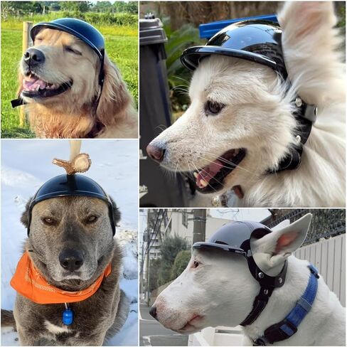 Namsan Dog Helmets for Large Dogs, Large Dog Helmet with Ear Holes, Safety Doggy Helmets for Outdoor Motorcycle Bike Traveling, Pet Hat Head Protection, Adjustable, L in Kuwait