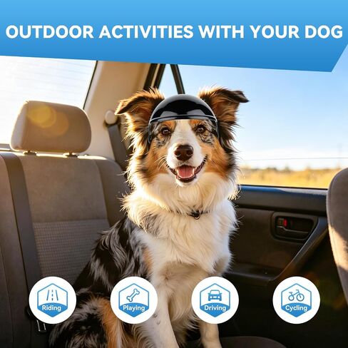 Namsan Dog Helmets for Large Dogs, Large Dog Helmet with Ear Holes, Safety Doggy Helmets for Outdoor Motorcycle Bike Traveling, Pet Hat Head Protection, Adjustable, L in Kuwait