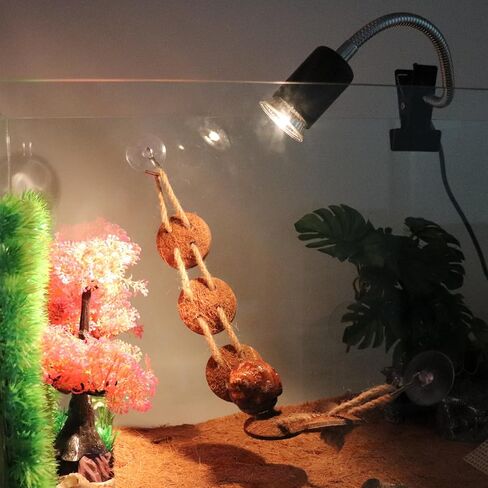 Hermit Crab Heat Lamp, Reptile Heat Lamp with Clamp, Reptile Light with Rotatable Hose and Timer, Suitable for Reptiles Lizard Turtle Tortoise Snake Bearded Dragon Hermit Crab, 2 Bulbs 25W+50W in Kuwait
