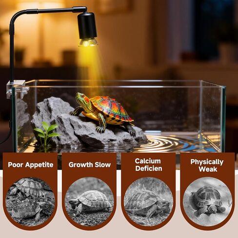 Reptile Heat Lamp, 360° Rotatable UVA/UVB Light Lamp with 2 Pack Basking Bulbs 50W, Suitable for Bearded Dragon, Reptiles, Turtle, Lizard, Snake in Saudi Arabia