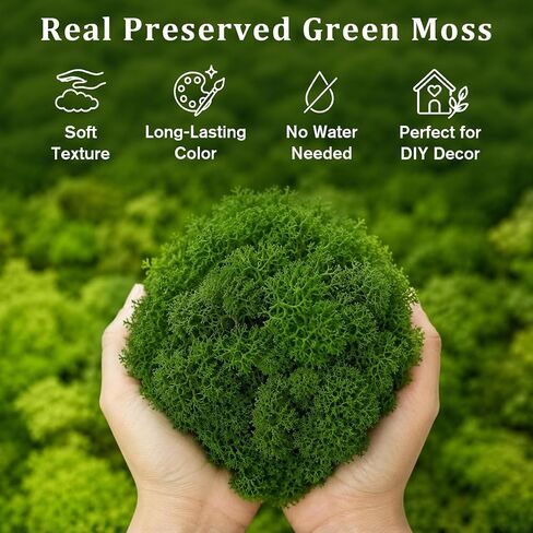 Preserved Reindeer Moss, Dark Green, 1.1 lb Real Moss for Crafts and Decor in Kuwait