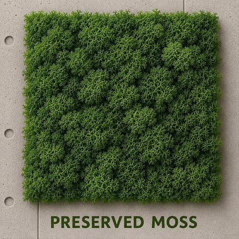 Preserved Reindeer Moss, Dark Green, 1.1 lb Real Moss for Crafts and Decor in Kuwait