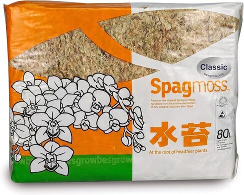 besgrow New Zealand Sphagnum Moss (1 kilogram),tan in Kuwait