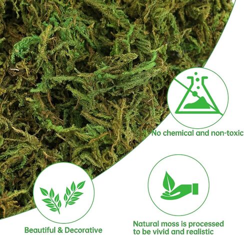 35 OZ Large Capacity Artificial Moss for Potted Plants and Crafts in Saudi Arabia