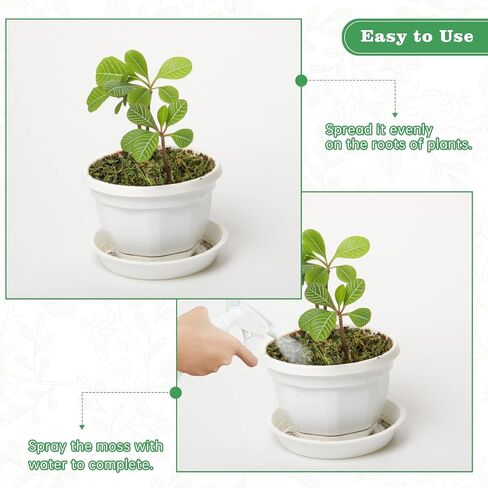 35 OZ Large Capacity Artificial Moss for Potted Plants and Crafts in Saudi Arabia