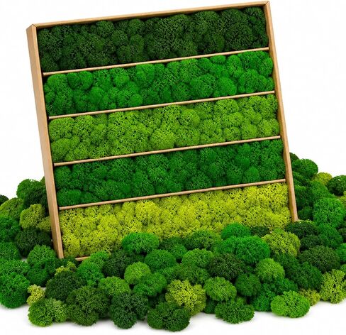 Preserved Reindeer Moss Mix, Natural Green, 1.1 lb in Kuwait