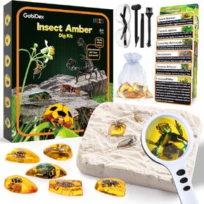 GobiDex Amber Dig Kit for Kids Ages 6+, Excavate 6 Insects Specimens in Kuwait