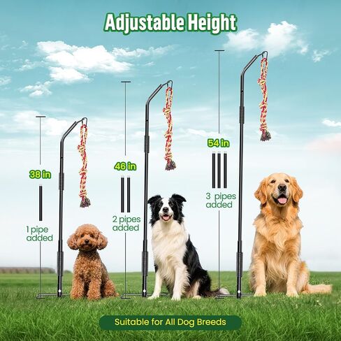 Tether Tug Outdoor Dog Rope Toy, Adjustment Height Upgraded Spring Pole, Includes 3 Chew Ropes, Interactive Tug of War Toy for Large Medium Small Dogs, Exercise Game in Yard, Lawn, Park in Kuwait