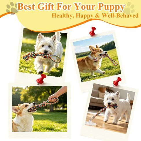Suction Cup Tug of War Toy for Small Dogs Interactive Dog Rope Toy in Saudi Arabia