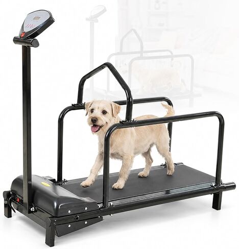 Slatmill for Medium & Large Dogs, Pet Fitness Treadmill, 31.5 X 11 in Running Area with 0.5-3.7 Mph Adjustable Speed, Safety Rails & Emergency Stop, for Dogs Indoor & Outdoor,Training in Saudi Arabia