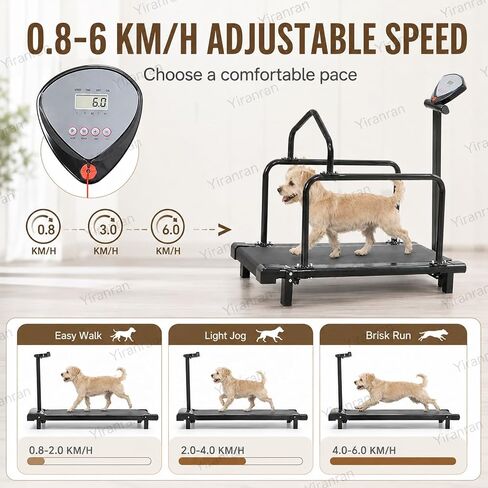 Slatmill for Medium & Large Dogs, Pet Fitness Treadmill, 31.5 X 11 in Running Area with 0.5-3.7 Mph Adjustable Speed, Safety Rails & Emergency Stop, for Dogs Indoor & Outdoor,Training in Saudi Arabia