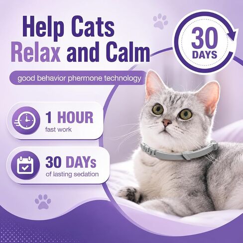Cat Calming Collar for Cats 4 Pack Pheromone Cat Collar with 30 Day Continuous Wear Adjustable Waterproof Collar for Kittens & Adult Cats Daily Comfort Support for Travel Grooming & Multi-Cat Homes in Kuwait