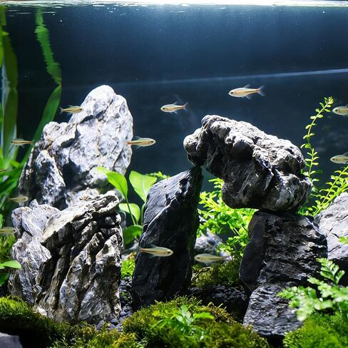 3lb Aquarium Rocks (2-5“) Seiryu Stones Natural Hardscape Rocks in Kuwait