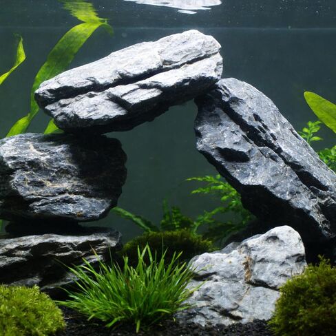 3lb Aquarium Rocks (2-5“) Seiryu Stones Natural Hardscape Rocks in Kuwait