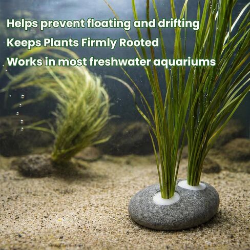 Ronyes 5-Pack Natural River Stone Aquarium Plant Weights, 0.79 Inch Hole in Kuwait