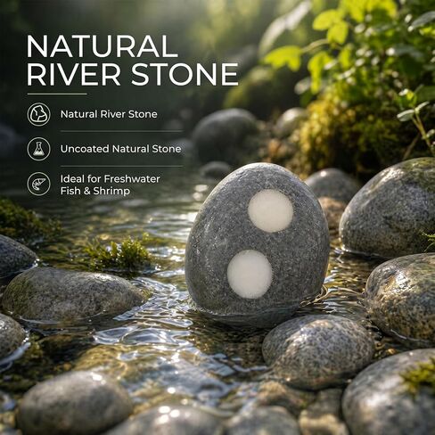 Ronyes 5-Pack Natural River Stone Aquarium Plant Weights, 0.79 Inch Hole in Kuwait