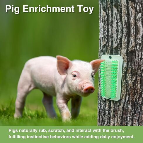 Mini Pig Cat Dog Wall Mounted Itch Relief Massages Relieves Stress in Kuwait