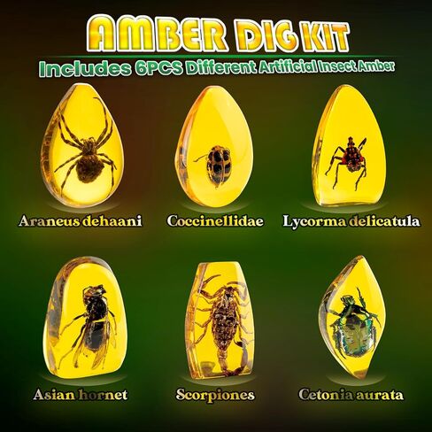 GobiDex Amber Dig Kit for Kids Ages 6+, Excavate 6 Insects Specimens in Kuwait