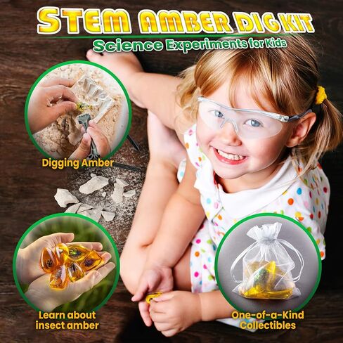 GobiDex Amber Dig Kit for Kids Ages 6+, Excavate 6 Insects Specimens in Kuwait
