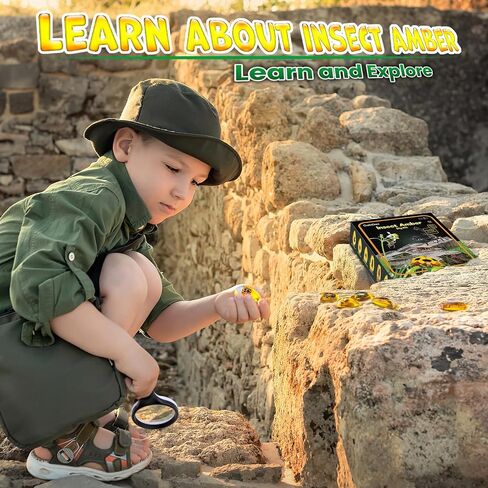 GobiDex Amber Dig Kit for Kids Ages 6+, Excavate 6 Insects Specimens in Kuwait