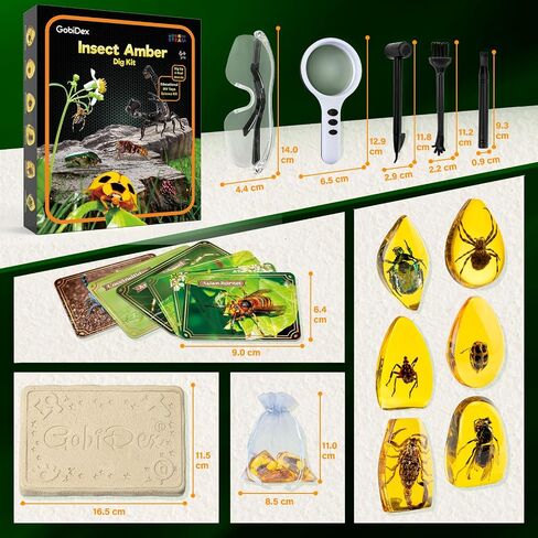 GobiDex Amber Dig Kit for Kids Ages 6+, Excavate 6 Insects Specimens in Kuwait