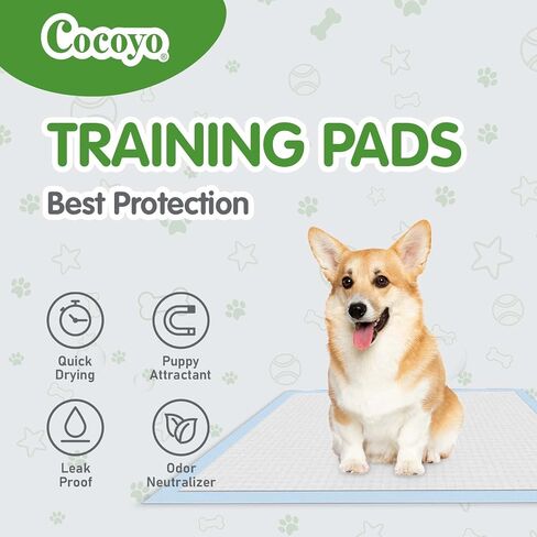 COCOYO Best Value Training Pads 100 Count 13“ by 17.7"| Dog Pee Pads | Super Absorbent Puppy Pads,Blue in Kuwait