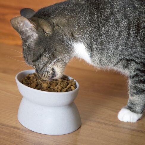 Kitty City Elevated Cat Bowls (Set of 2), Whisker-Friendly Raised Cat Food & Water Dishes, Modern Pedestal Design, Dishwasher Safe, 6.5 oz Each – White & Gray in Kuwait