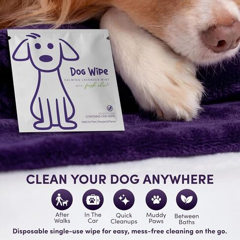 Dog Wipes Individually Wrapped for Paws and Butt, Travel Size Pet Wipes for Dogs, Puppy Cleaning Wipes for Face, Ears, Eyes, No Rinse Grooming Wipes, Deodorizing Lavender, 30 Count On-The-Go Packs in Kuwait